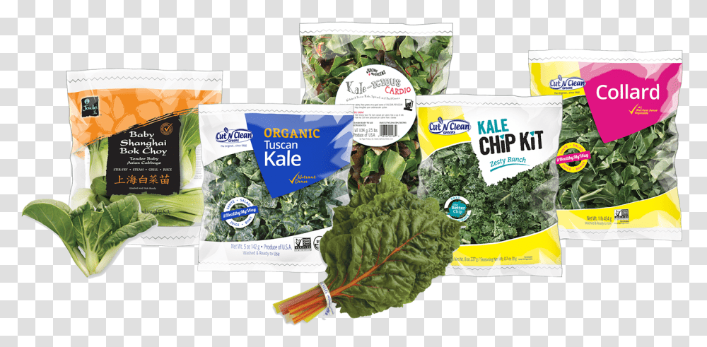 Christmas Tree, Plant, Kale, Cabbage, Vegetable Transparent Png
