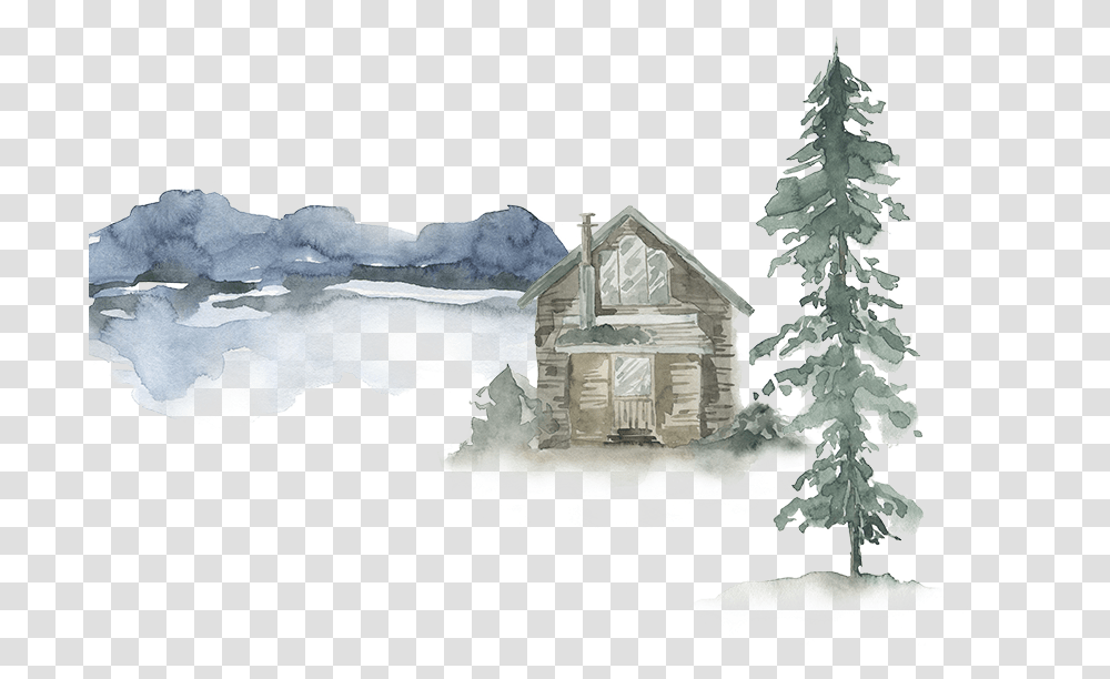 Christmas Tree, Plant, Nature, Outdoors, Building Transparent Png