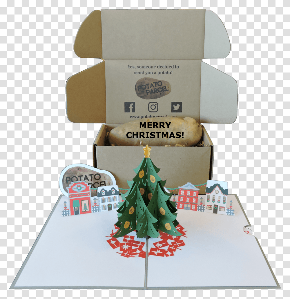 Christmas Tree, Plant, Ornament, Box Transparent Png