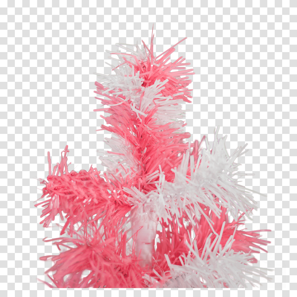 Christmas Tree, Plant, Ornament, Pattern, Fractal Transparent Png