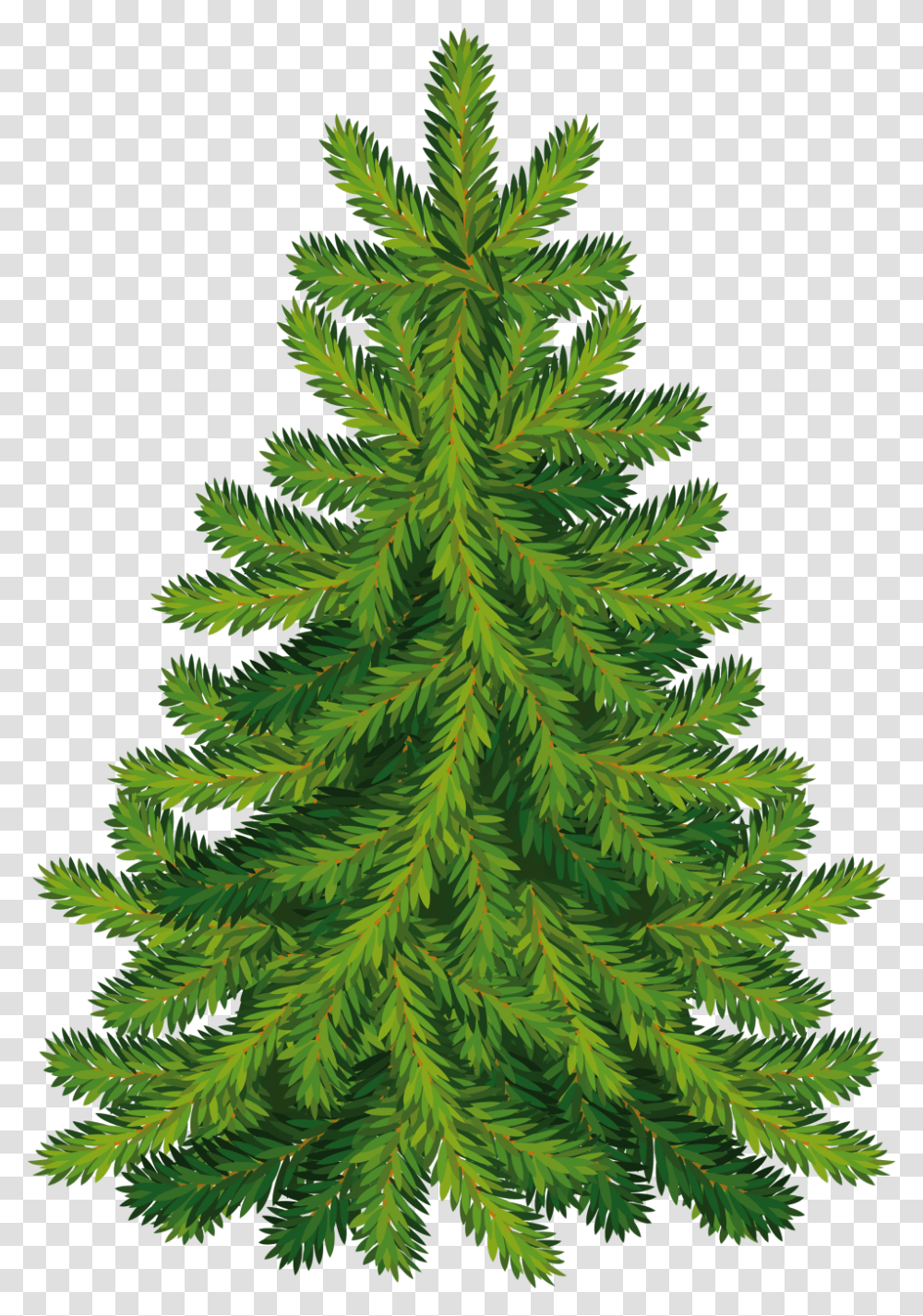 Christmas Tree, Plant, Ornament, Pine, Conifer Transparent Png