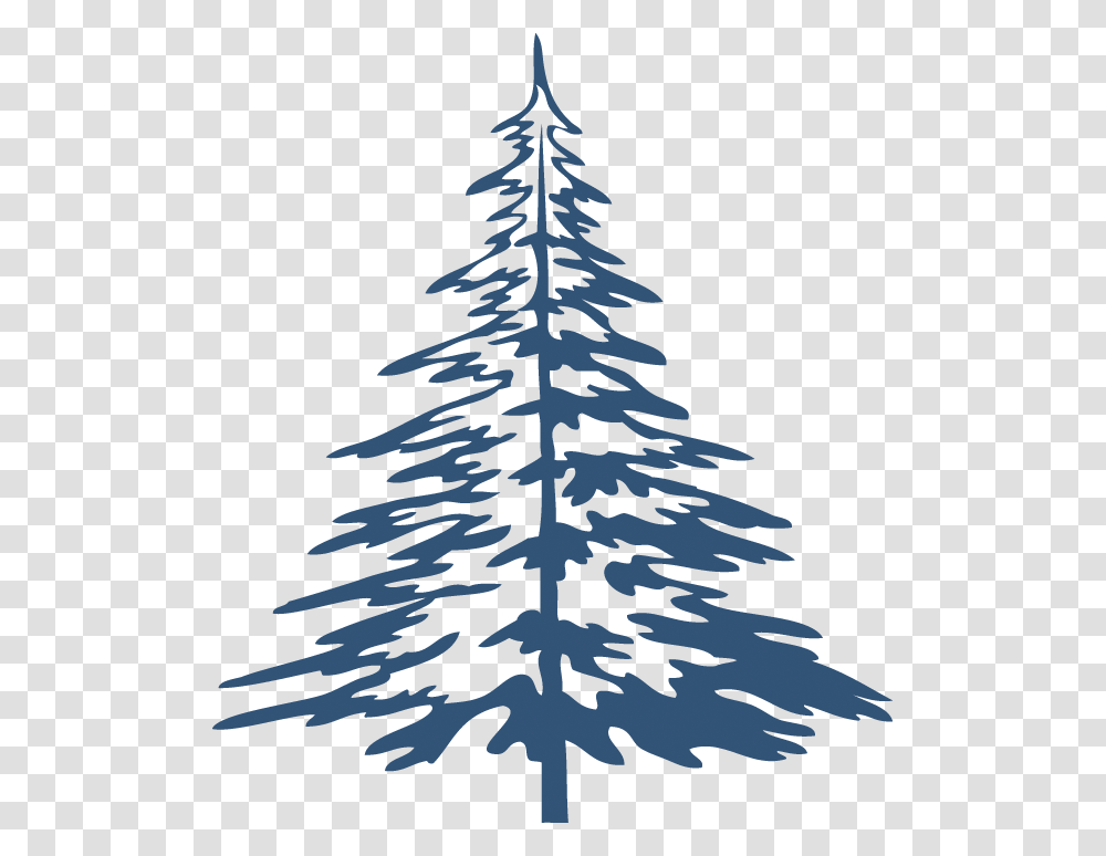 Christmas Tree, Plant, Ornament, Pine, Fir Transparent Png
