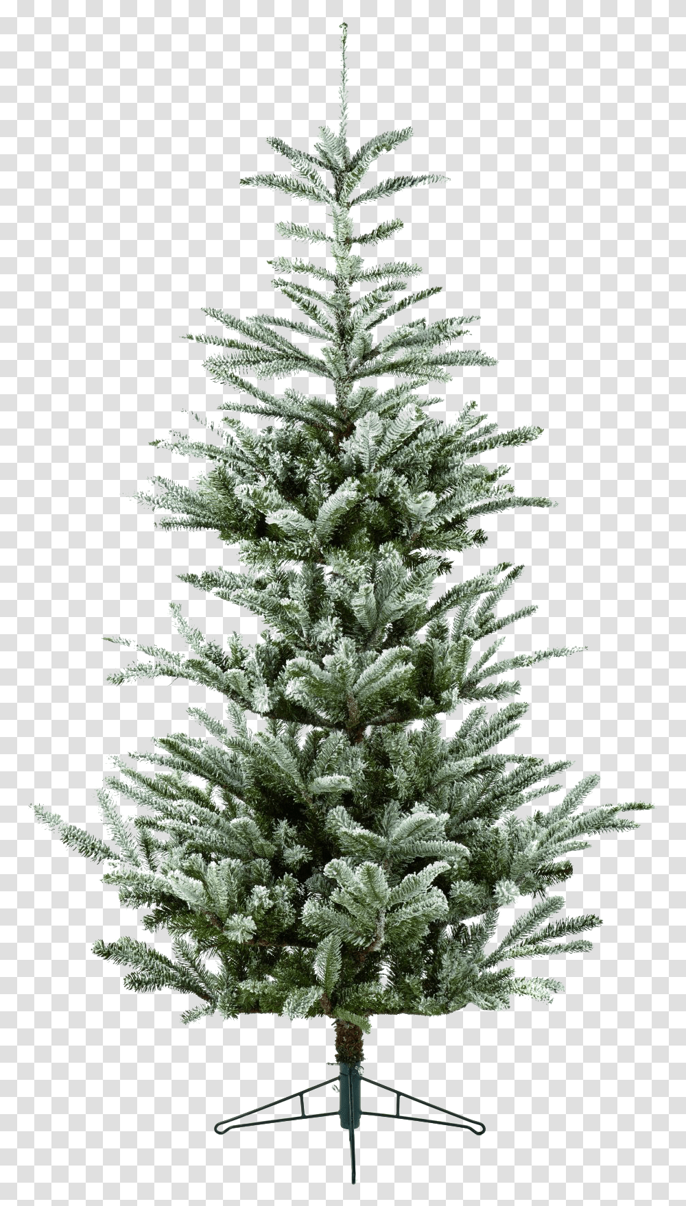 Christmas Tree, Plant, Ornament, Pine, Fir Transparent Png