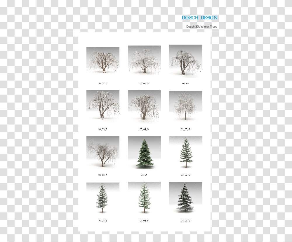 Christmas Tree, Plant, Ornament, Pine, Fir Transparent Png