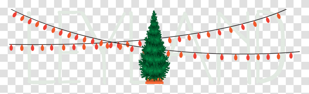 Christmas Tree, Plant, Ornament Transparent Png