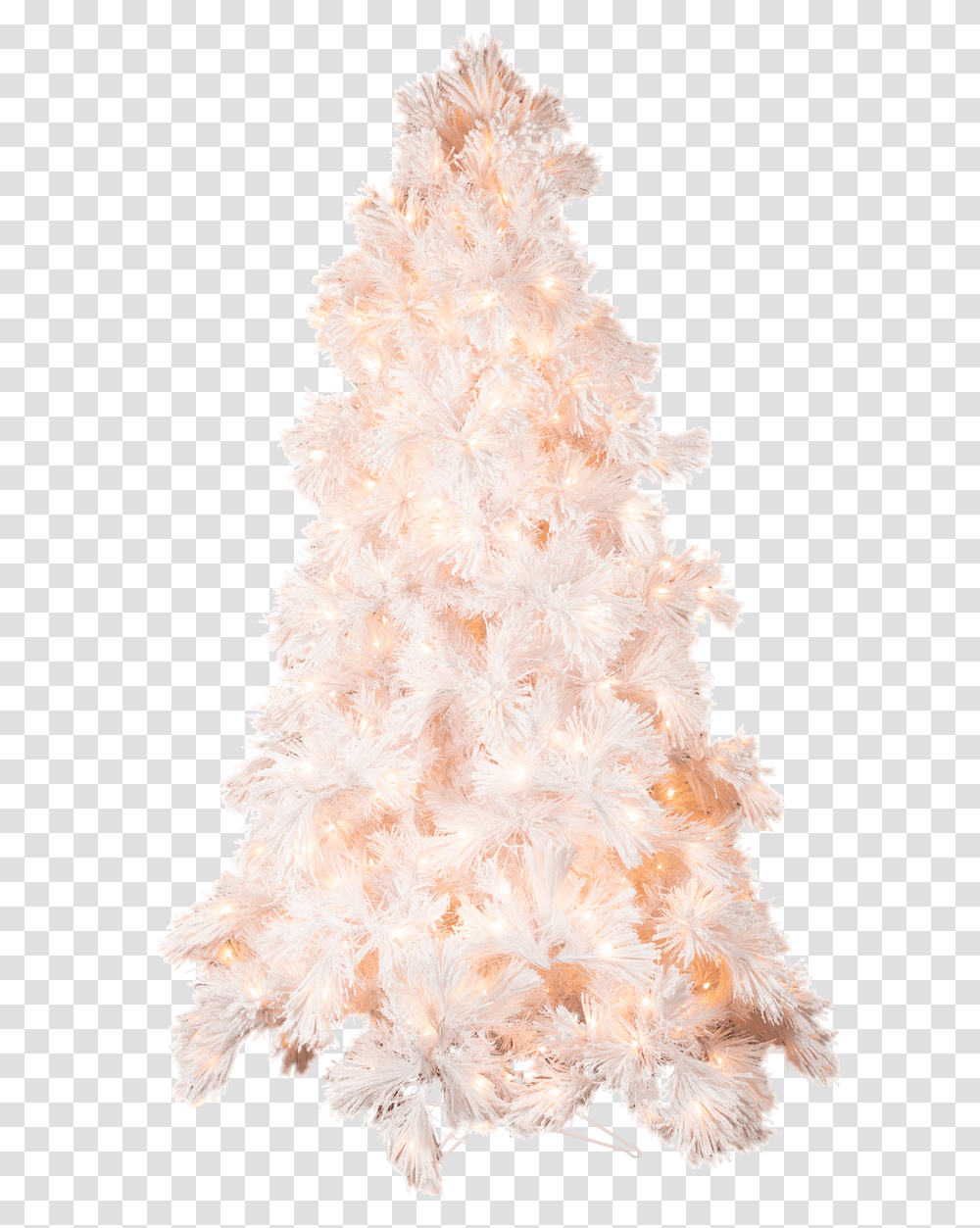 Christmas Tree, Plant, Ornament Transparent Png