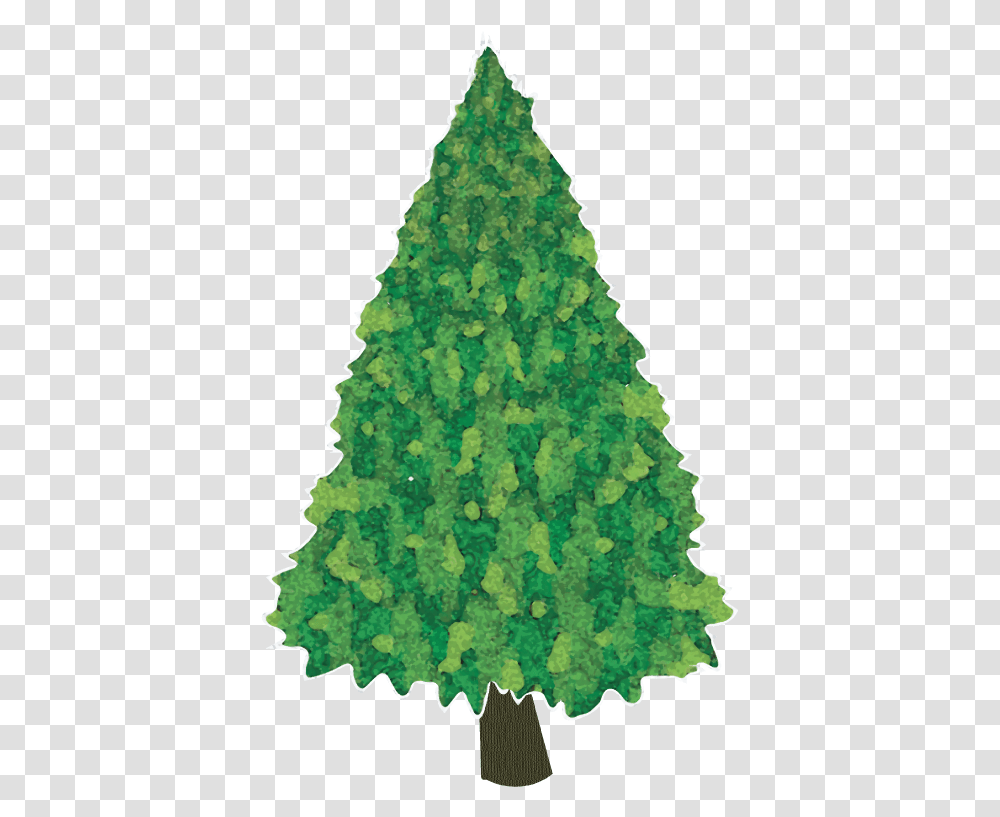 Christmas Tree, Plant, Pine, Conifer, Green Transparent Png