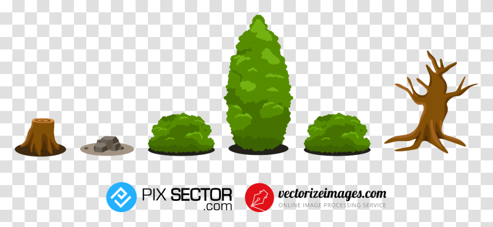 Christmas Tree, Plant, Pineapple, Fruit, Food Transparent Png