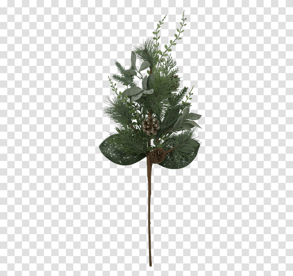 Christmas Tree, Plant, Vase, Jar, Pottery Transparent Png