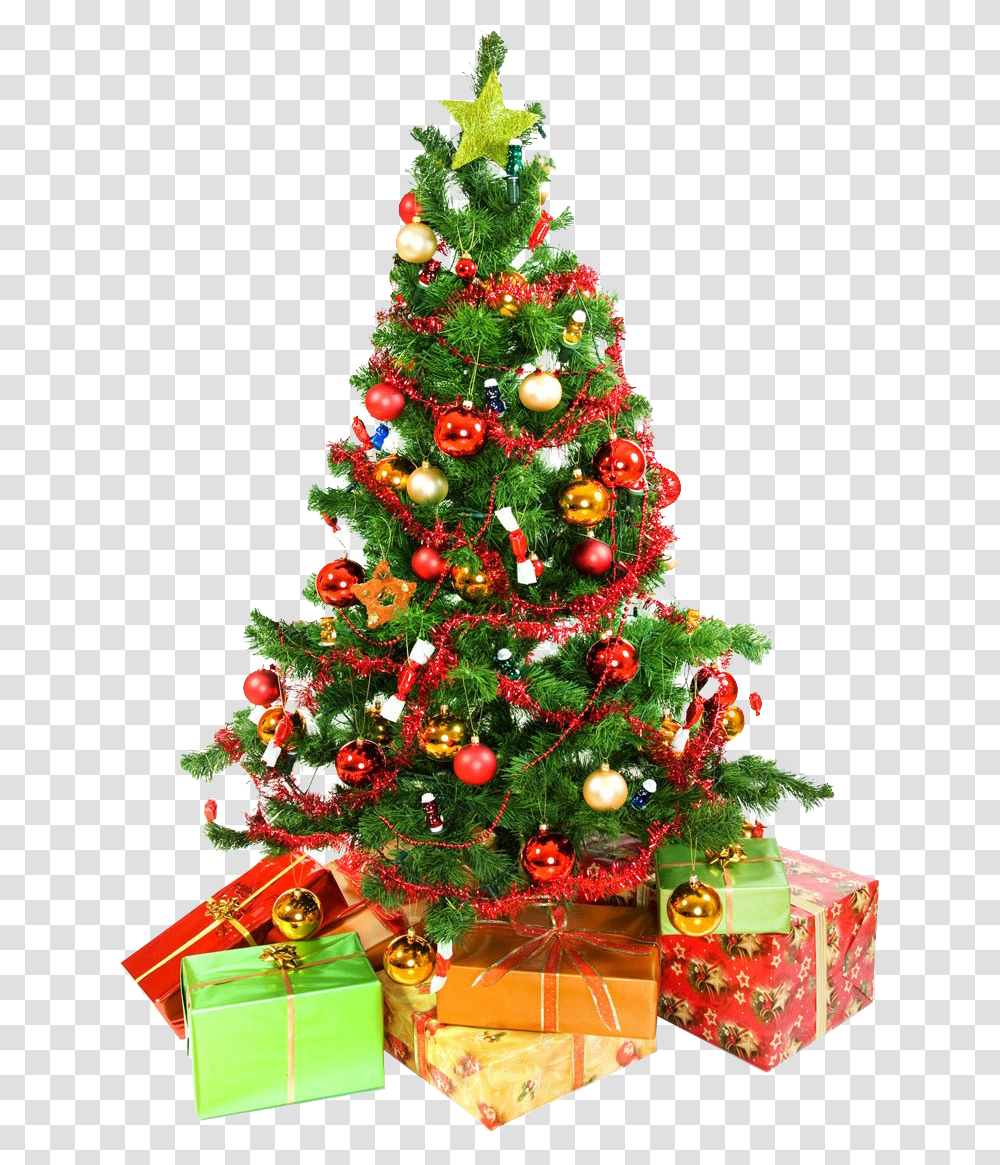Christmas Tree Presents Underneath Image Christmas Tree High Resolution, Ornament, Plant Transparent Png
