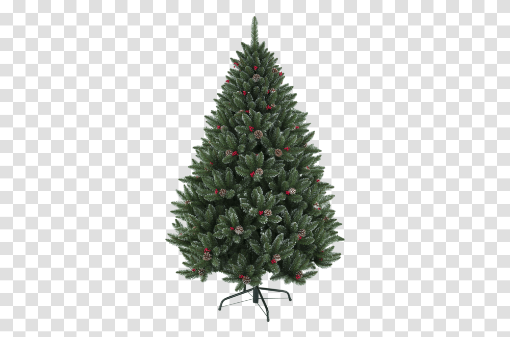 Christmas Tree Red Berry Plain Real Christmas Trees, Ornament, Plant, Pine, Fir Transparent Png