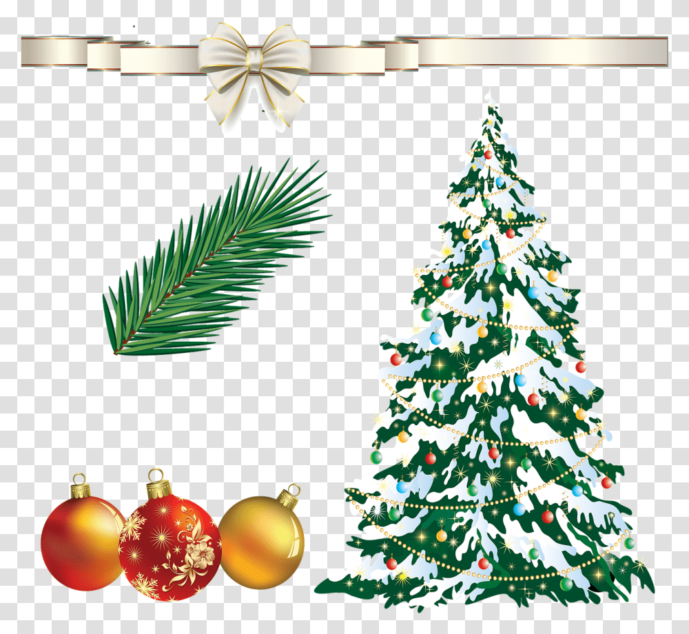 Christmas Tree Ribbon Fir Branch, Plant, Ornament,  Transparent Png