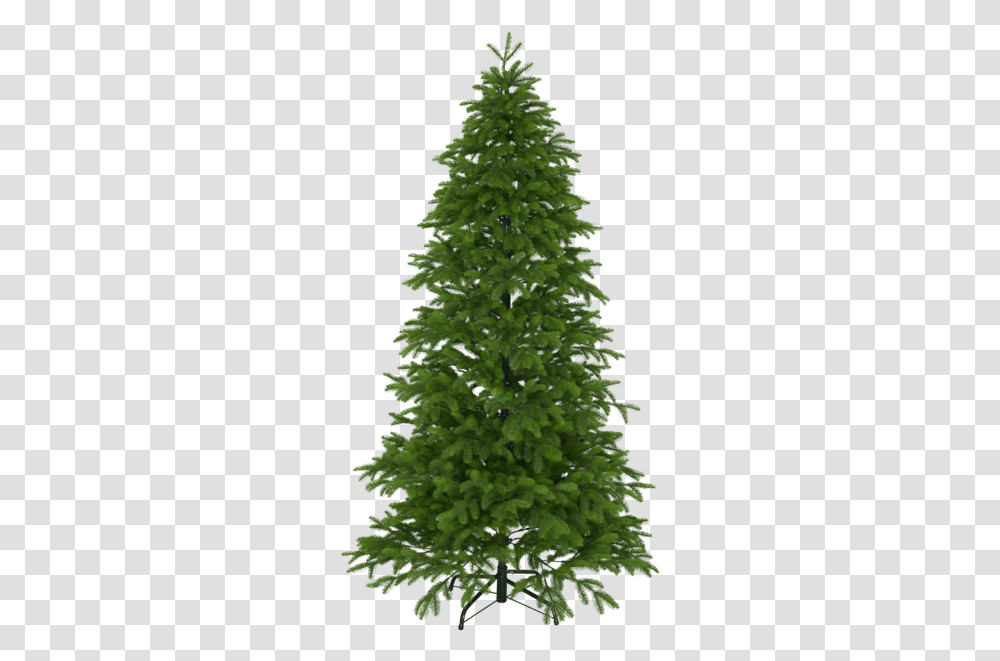 Christmas Tree Ryda Christmas Tree, Plant, Ornament, Pine, Fir Transparent Png