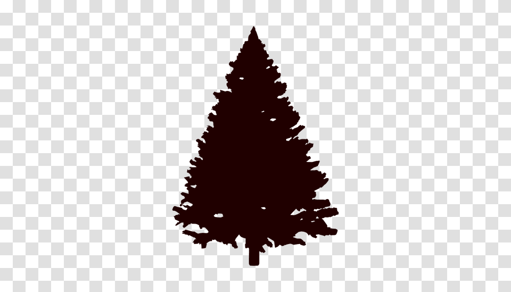 Christmas Tree Silhouette, Plant, Ornament, Fir, Abies Transparent Png