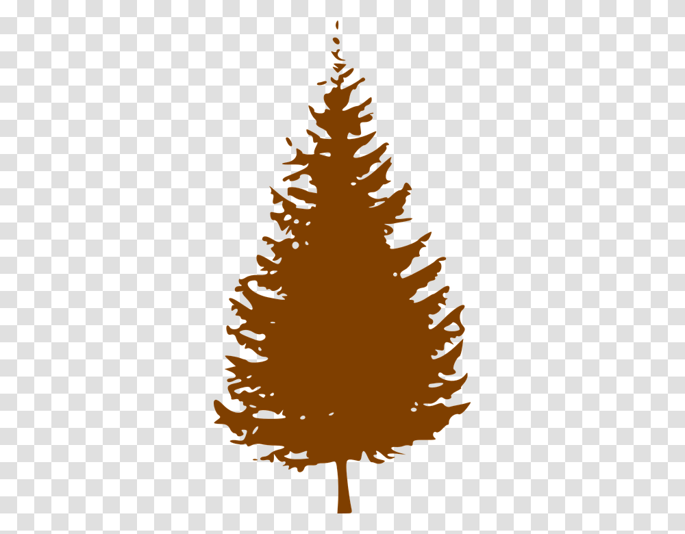 Christmas Tree Silhouette, Plant, Ornament, Pine, Bird Transparent Png