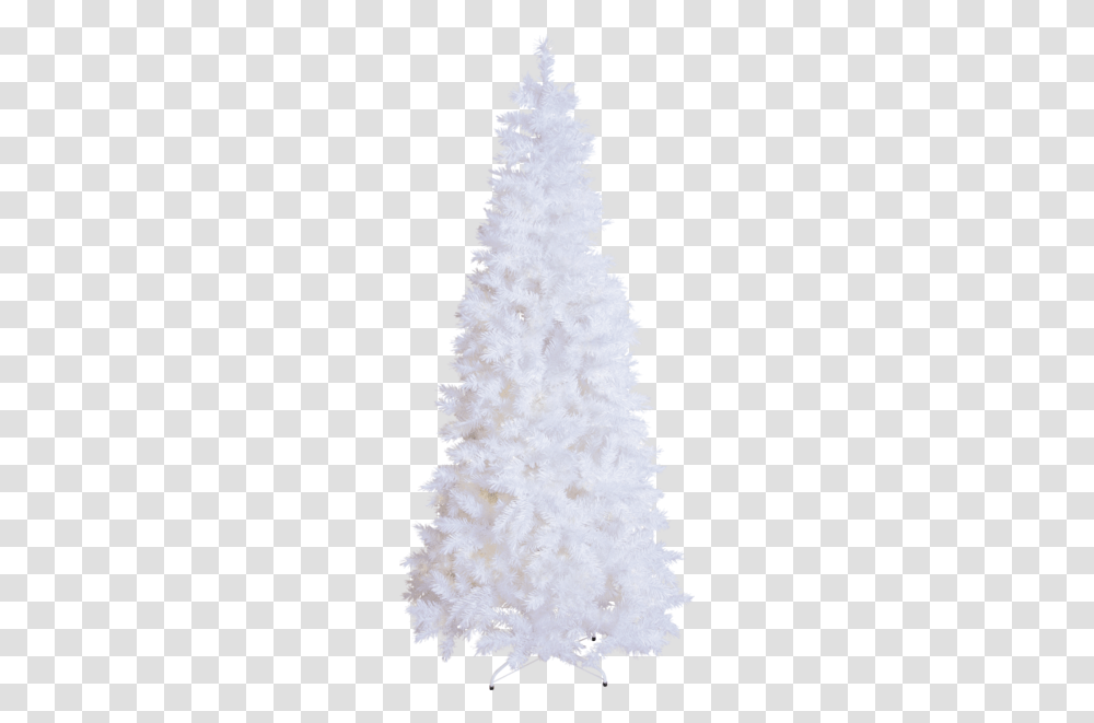 Christmas Tree Slim Hvit Juletre, Ornament, Plant Transparent Png