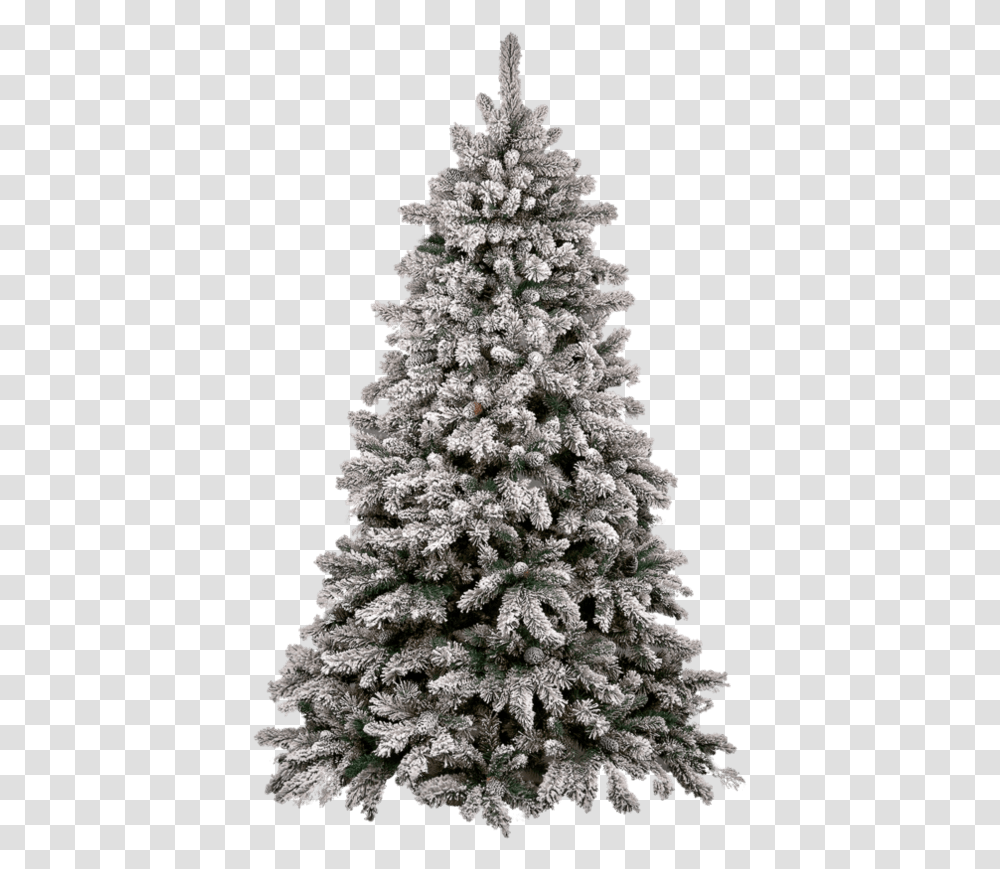 Christmas Tree Snow Clip Arts Snow Capped Christmas Tree, Ornament, Plant Transparent Png