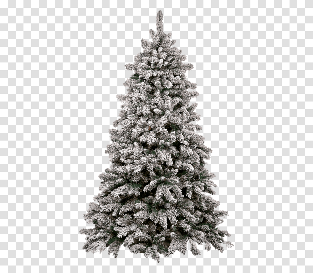 Christmas Tree Snow Pine Tree, Plant, Ornament Transparent Png