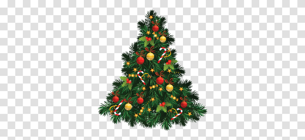 Christmas Tree Snow Stickpng Christmas Tree Images, Ornament, Plant, Bush Transparent Png