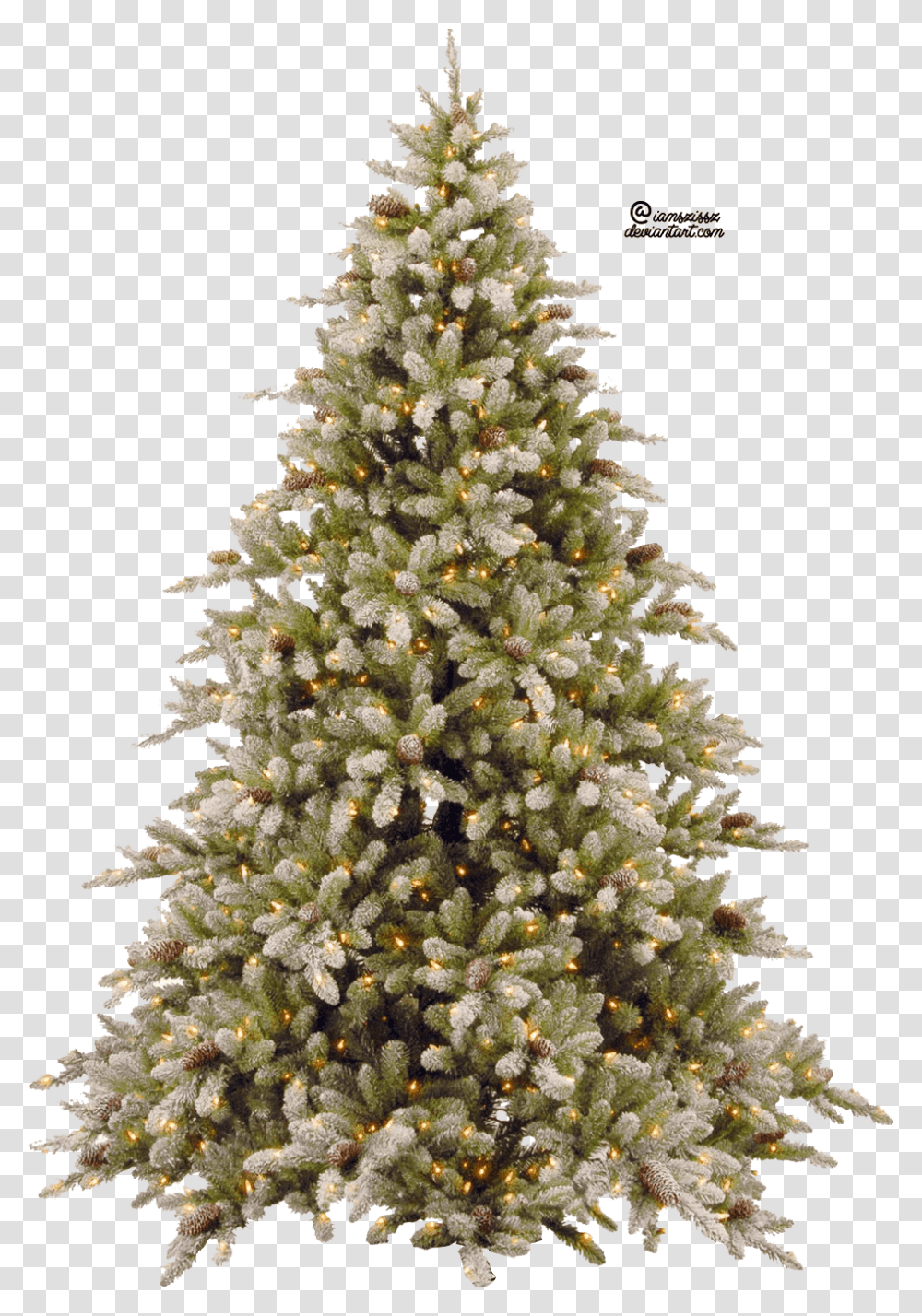 Christmas Tree Snowy Christmas Tree, Ornament, Plant, Pine, Conifer Transparent Png