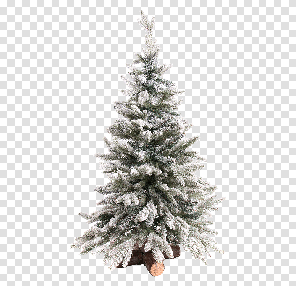 Christmas Tree Snowy Snowy Christmas Tree, Ornament, Plant, Fir, Abies Transparent Png