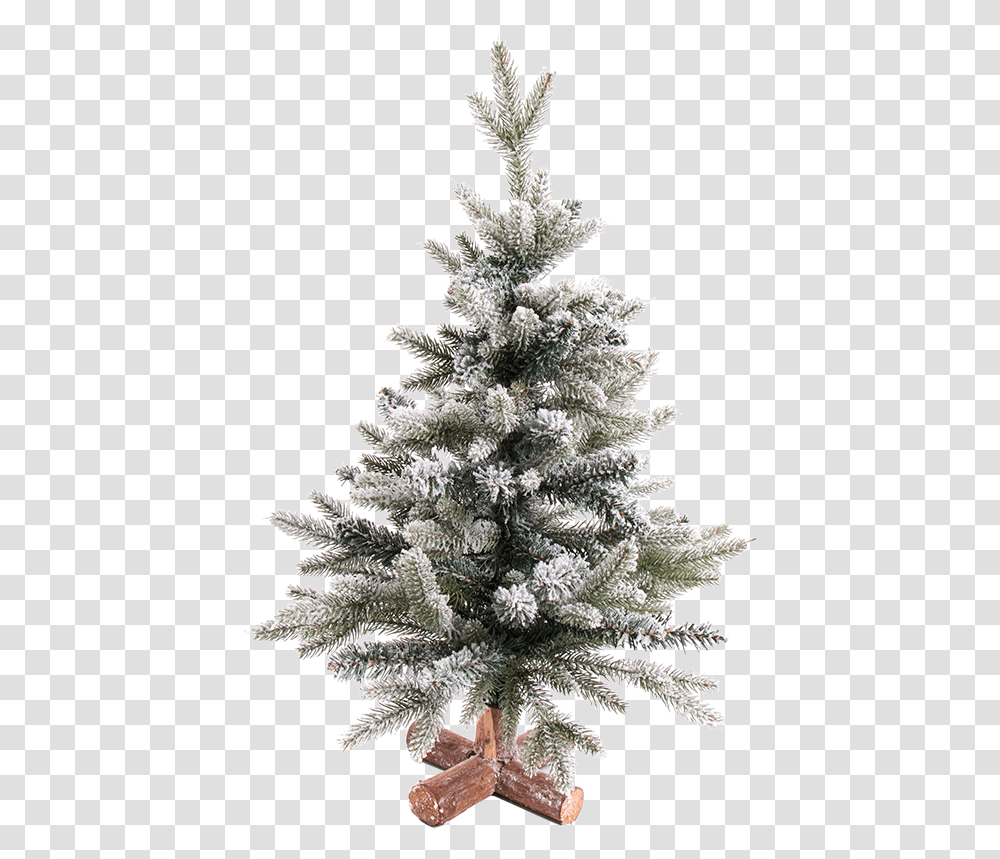 Christmas Tree Snowy Weihnachtsbaum Mit Schnee 60 Cm, Ornament, Plant, Fir, Abies Transparent Png