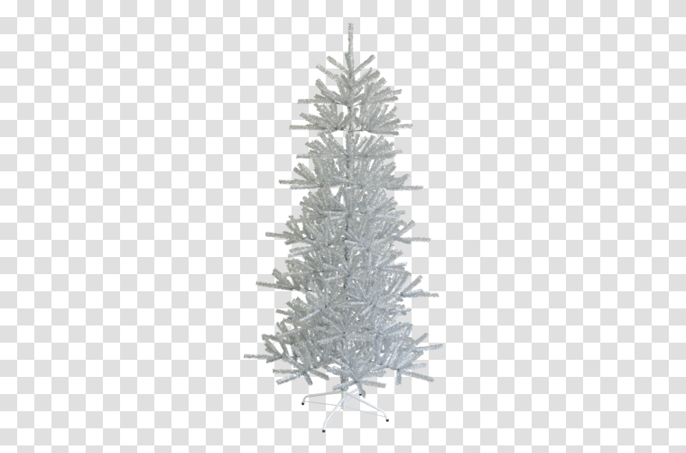 Christmas Tree Sparkle, Ornament, Plant, Ice, Outdoors Transparent Png