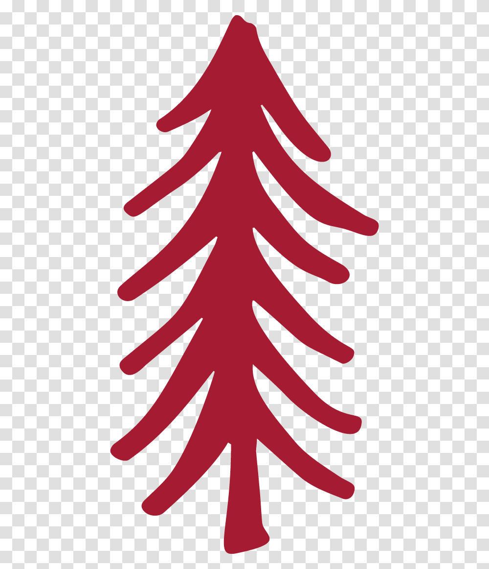 Christmas Tree Spruce, Ornament, Plant, Pattern, Fractal Transparent Png