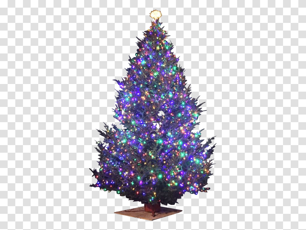 Christmas Tree Star, Ornament, Plant, Lighting Transparent Png