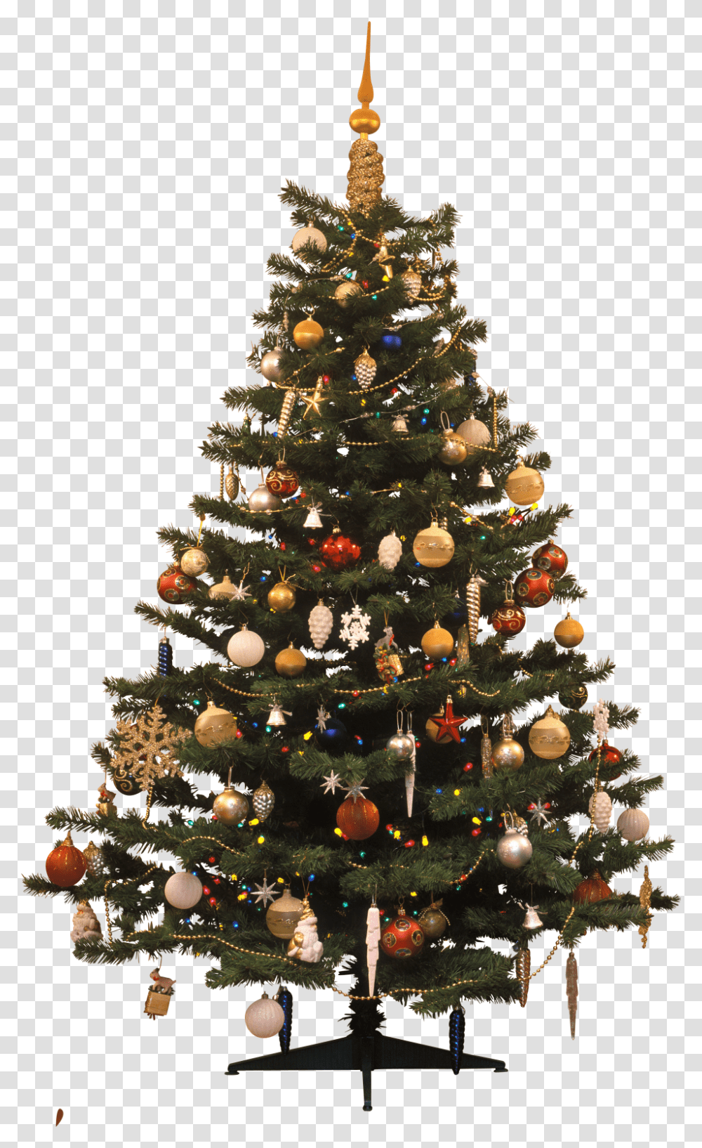 Christmas Tree Traditional Image Christmas Tree, Ornament, Plant, Fir, Abies Transparent Png
