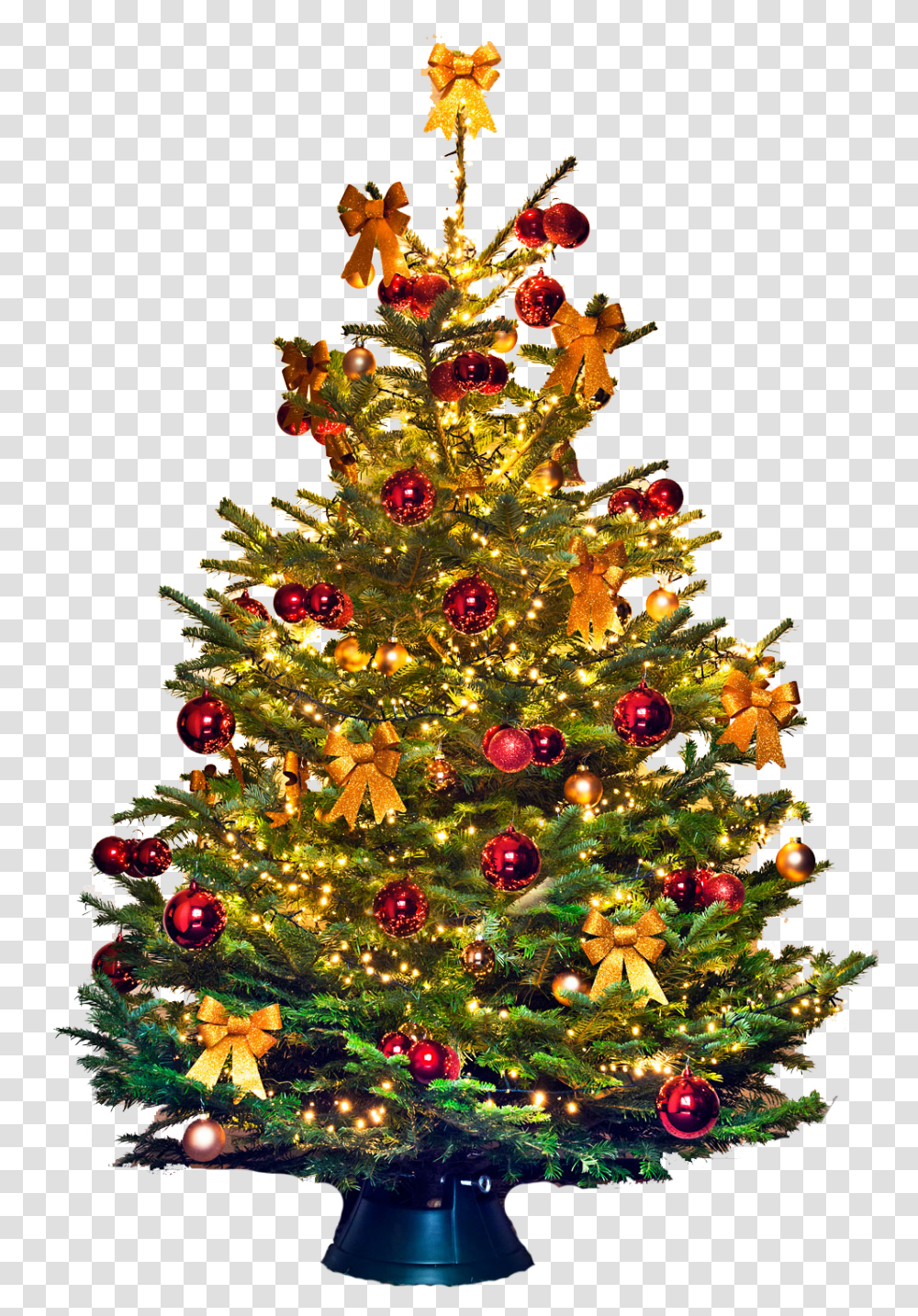 Christmas Tree Vector Christmas Tree, Ornament, Plant Transparent Png