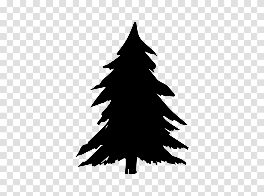 Christmas Tree Vector, Plant, Silhouette, Fir, Abies Transparent Png