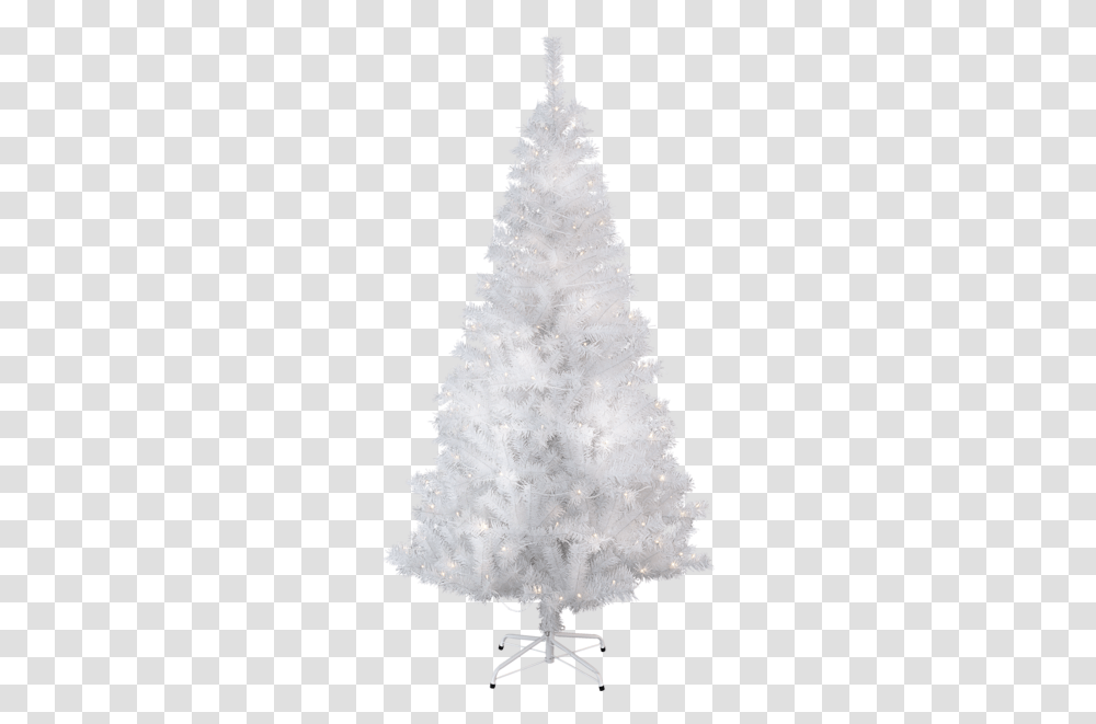 Christmas Tree W Led Kalix Christmas Tree, Ornament, Plant Transparent Png