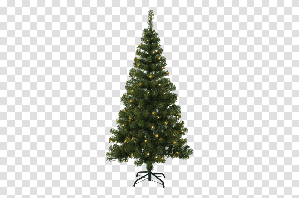 Christmas Tree W Led Ottawa Pre Lit Christmas Tree, Ornament, Plant, Pine, Conifer Transparent Png