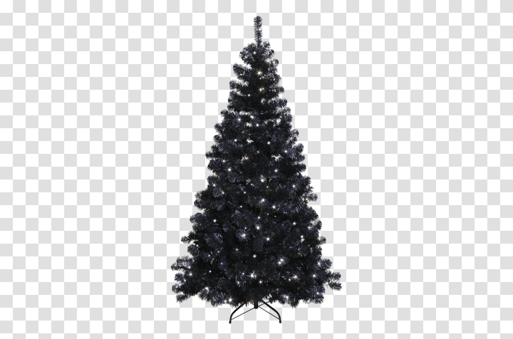 Christmas Tree W Led Ottawa Star Trading 6ft Black Christmas Tree, Ornament, Plant, Pine,  Transparent Png