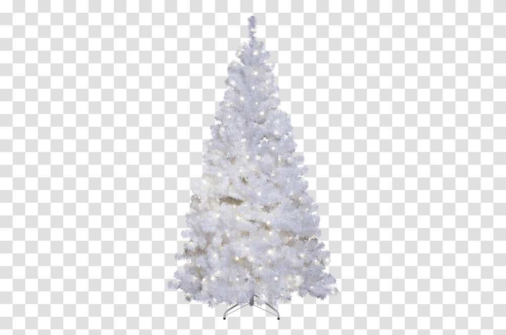 Christmas Tree W Led Ottawa Star Trading Weihnachtsbaum Wei, Ornament, Plant,  Transparent Png