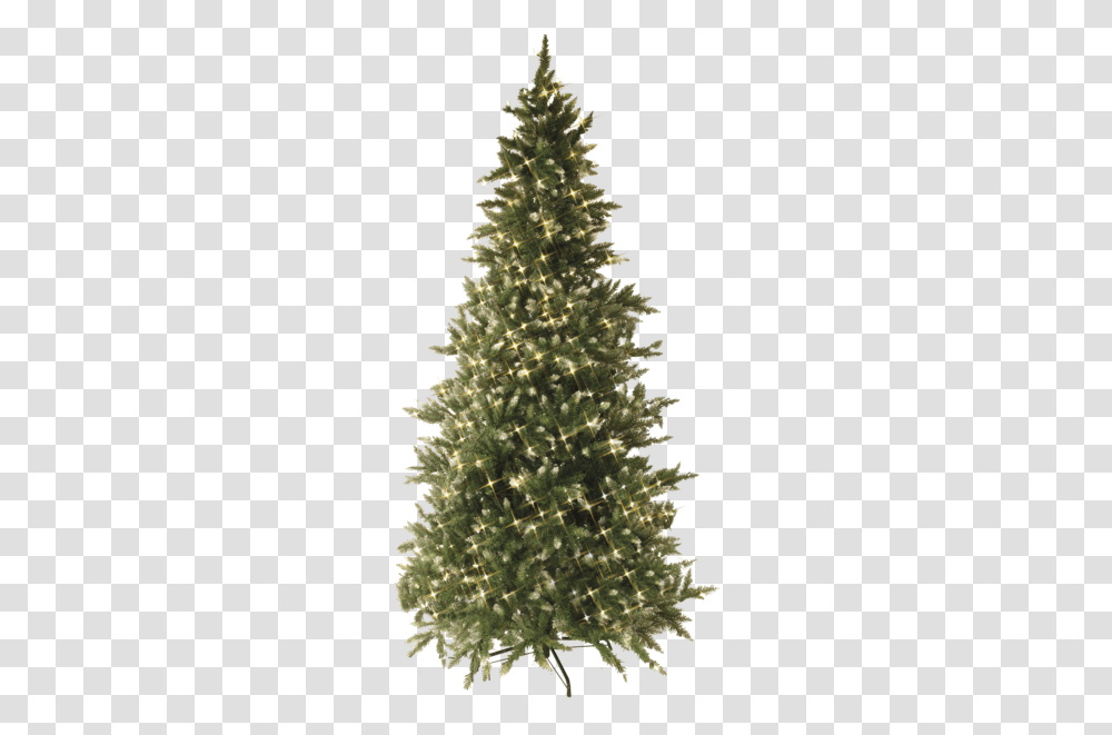 Christmas Tree W Led Vancouver Pre Lit Christmas Tree, Ornament, Plant, Pine Transparent Png