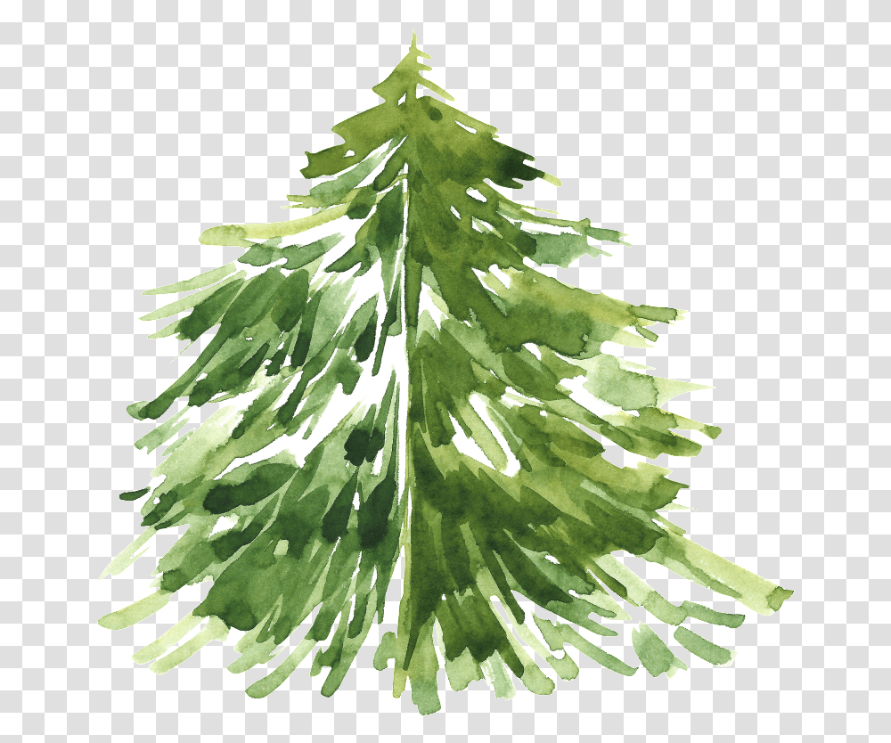 Christmas Tree Watercolor Pine Tree, Plant, Ornament, Pineapple, Fruit Transparent Png