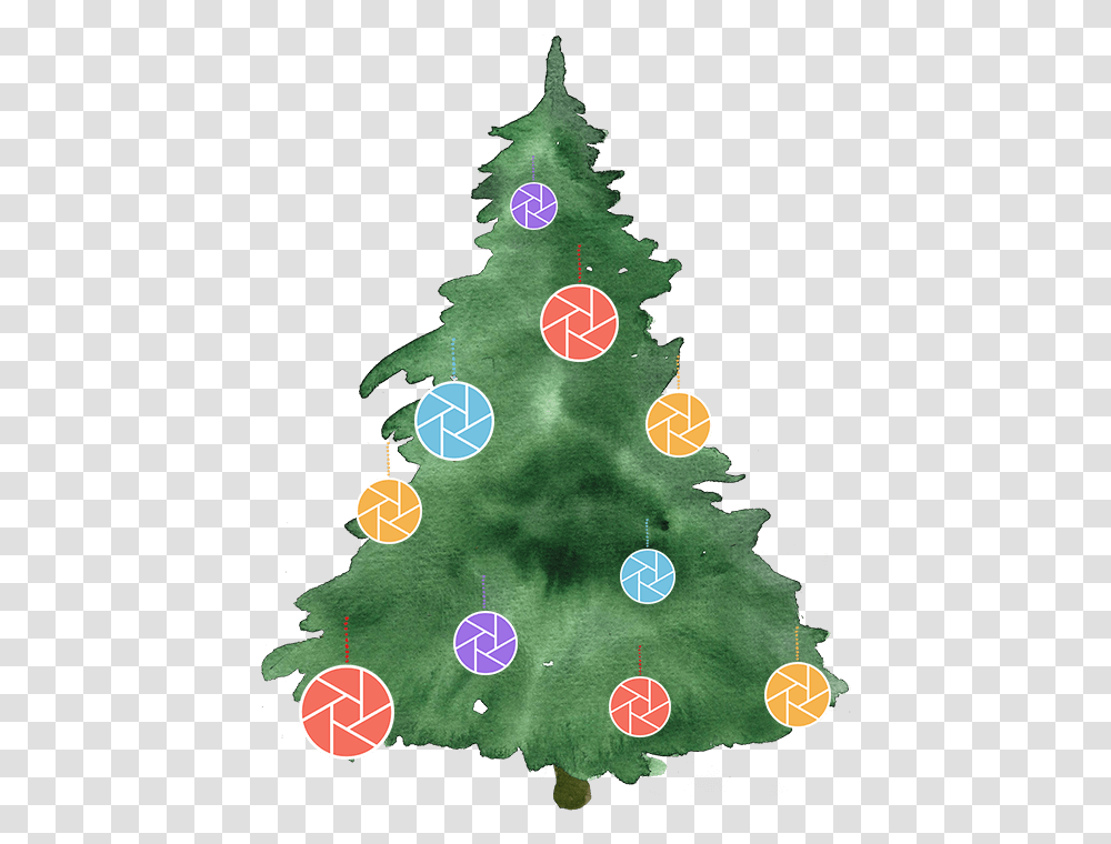 Christmas Tree Watercolor, Plant, Grass, Outdoors, Fir Transparent Png