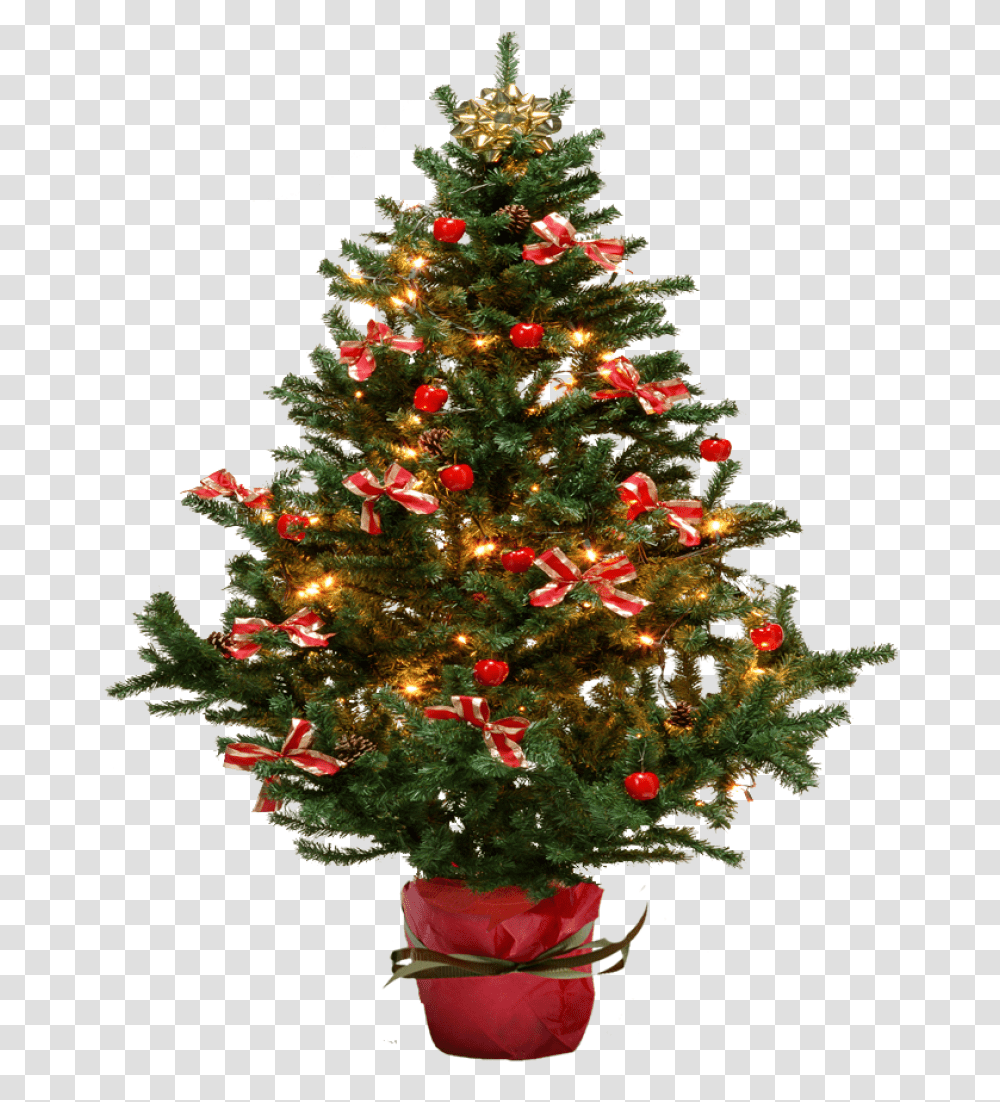 Christmas Tree With Bows Image Christmas Tree On Background, Ornament, Plant, Conifer Transparent Png