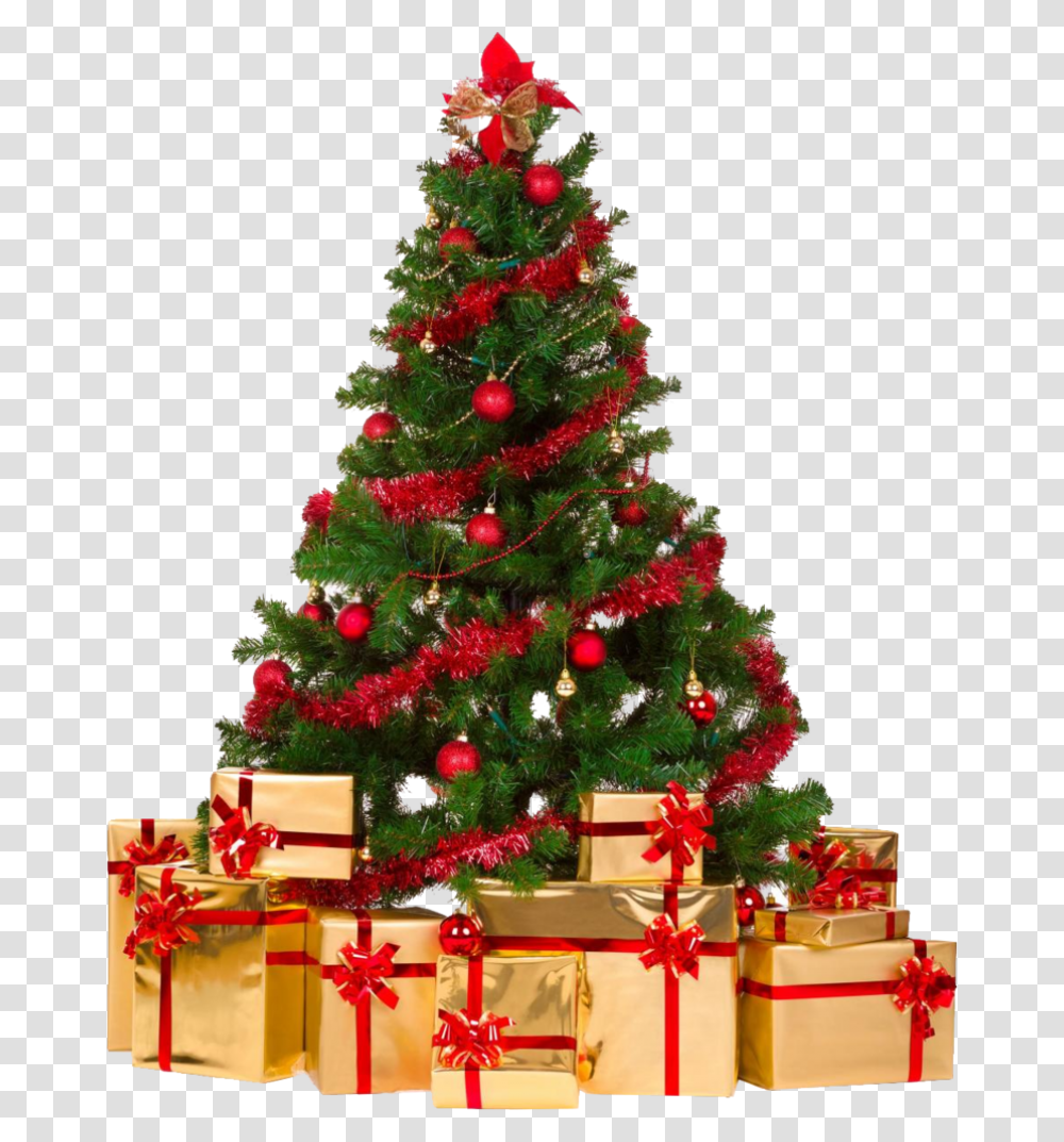 Christmas Tree With Gifts Image Christmas Tree Background, Ornament, Plant, Vegetation, Bush Transparent Png