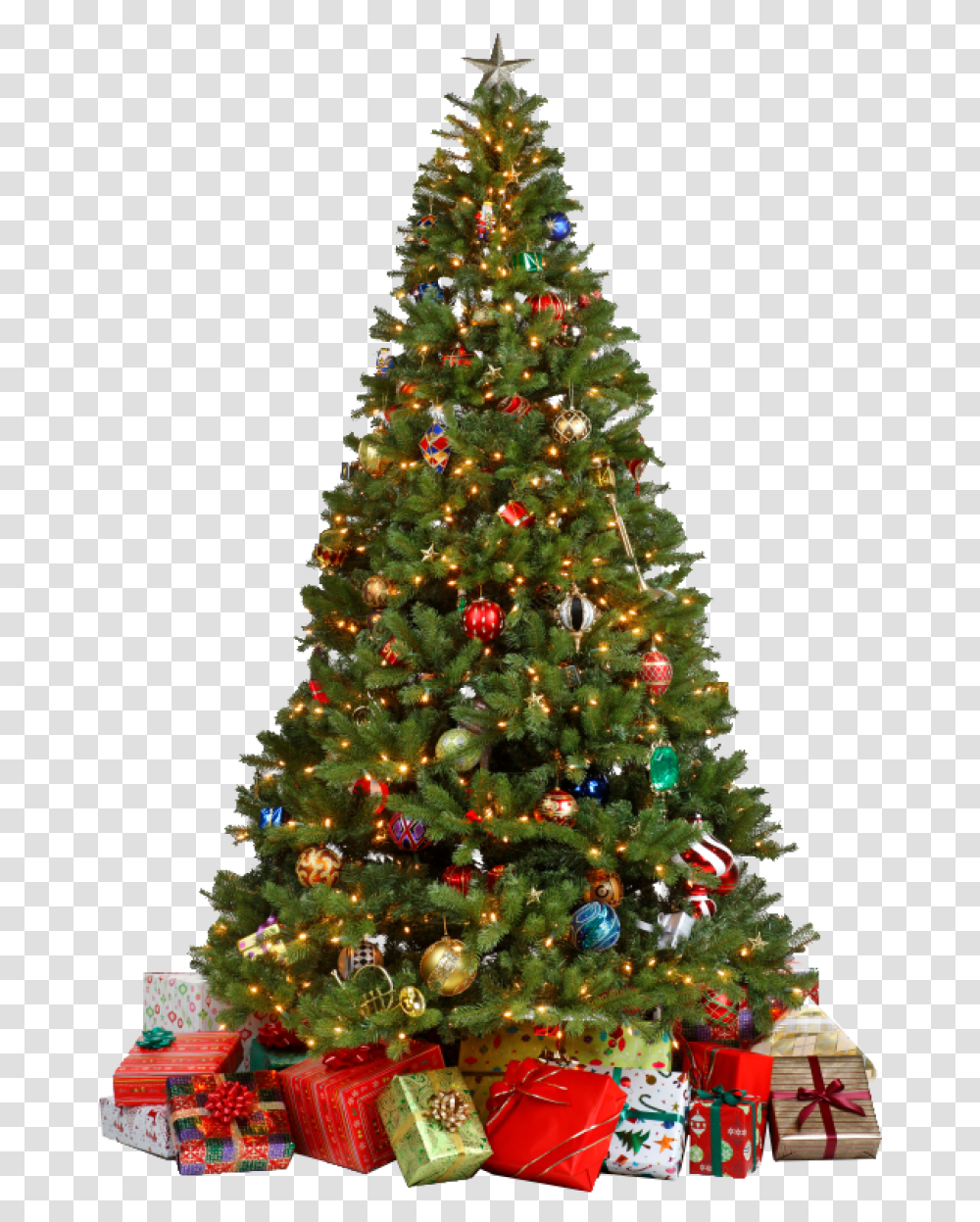 Christmas Tree With Gifts Image, Ornament, Plant, Pine,  Transparent Png