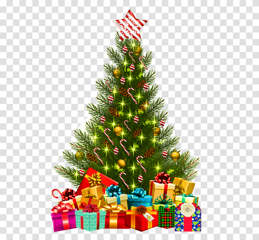 Christmas Tree With Lights Christmas Tree Free, Ornament, Plant, Vegetation Transparent Png