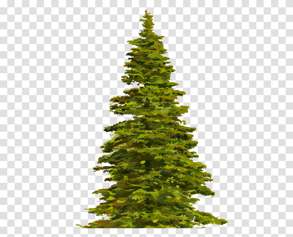 Christmas Tree With Ornaments Clipart Christmas Tree Clipart, Plant, Pine, Fir, Abies Transparent Png