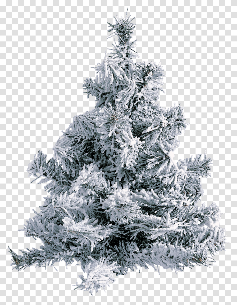 Christmas Tree With Snow And Pinecones, Ornament, Plant, Ice, Outdoors Transparent Png