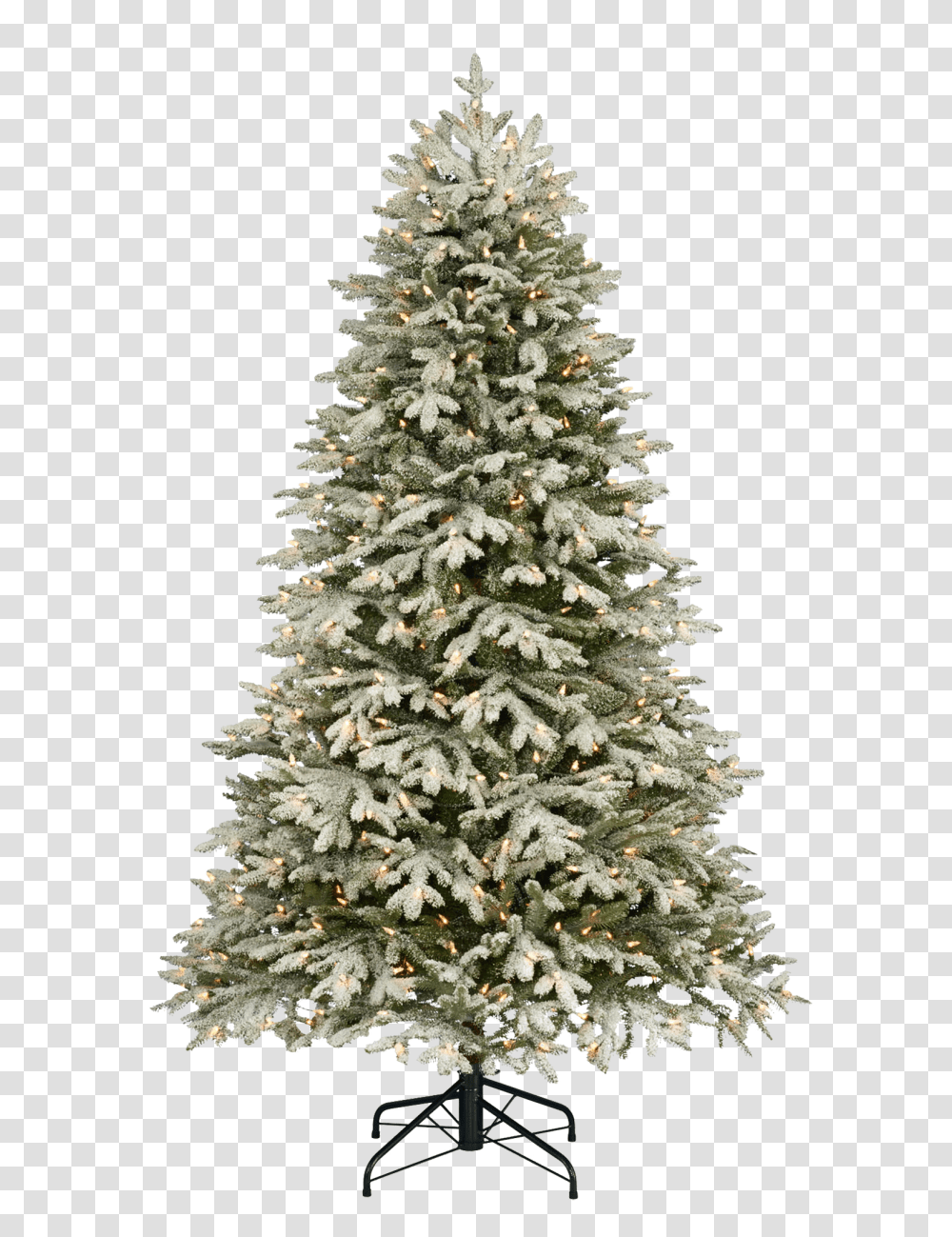 Christmas Tree With Snow Image Different Types Of Christmas Trees, Ornament, Plant, Pine, Conifer Transparent Png