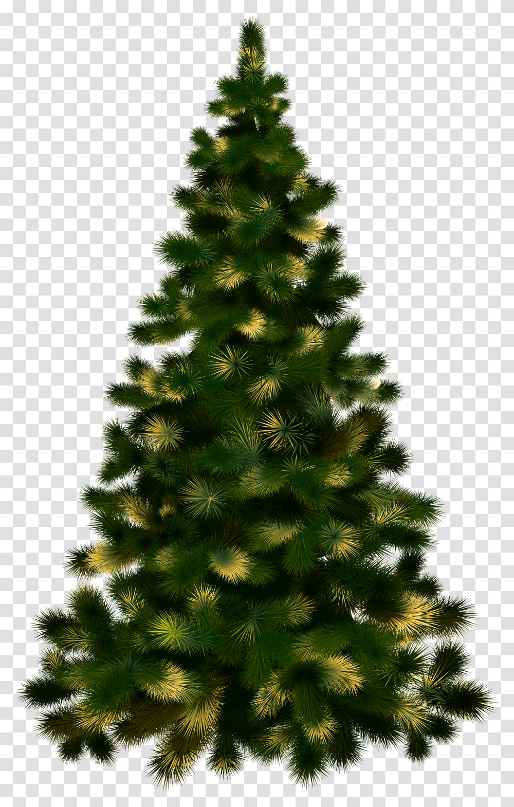 Christmas Tree Without Lights Image Purepng Free Christmas Tree Real Transparent Png
