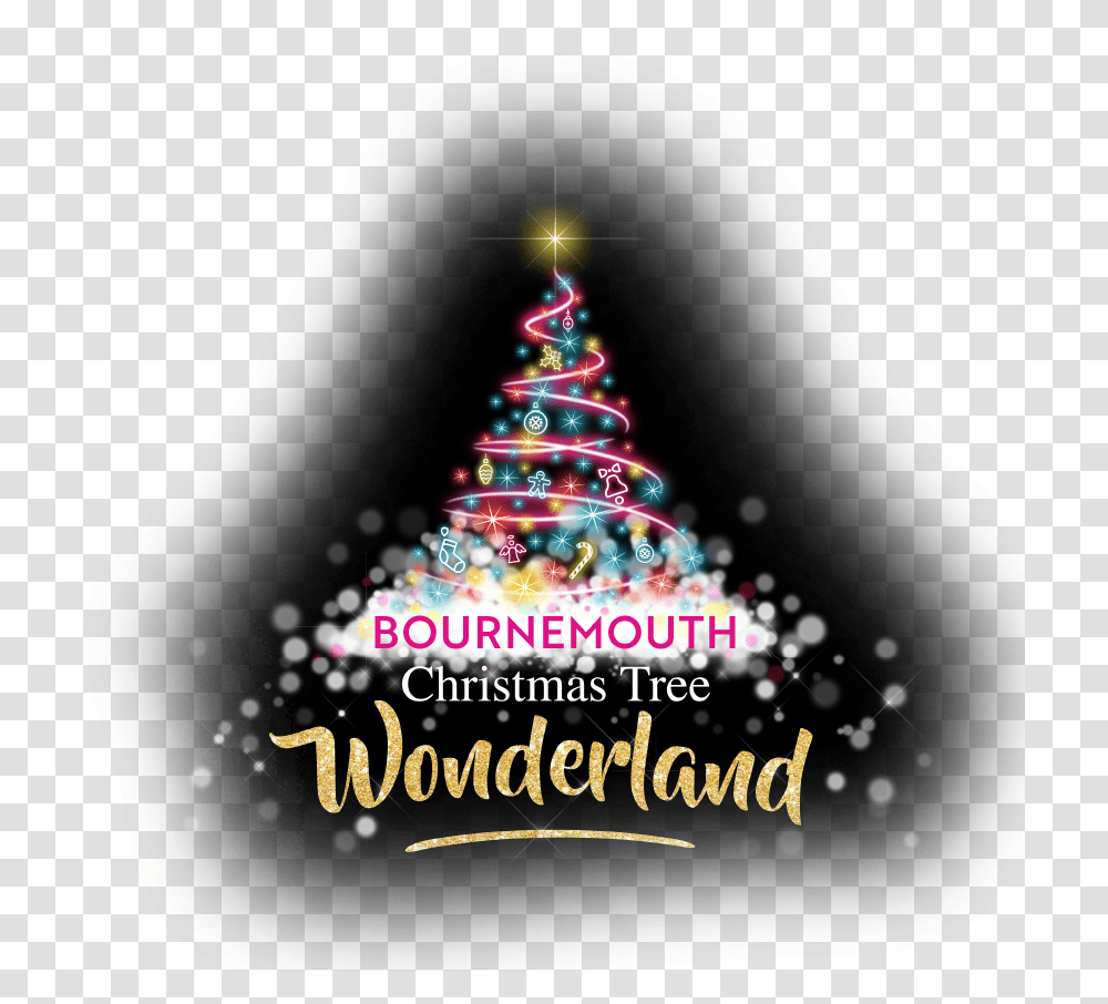 Christmas Tree Wonderland Bournemouth Christmas Tree Festival 2019, Plant, Ornament, Night Life Transparent Png