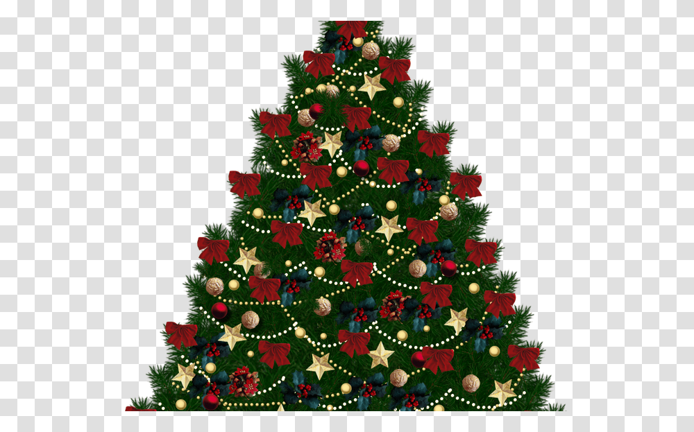Christmas Trees Background, Ornament, Plant, Vegetation, Bush Transparent Png