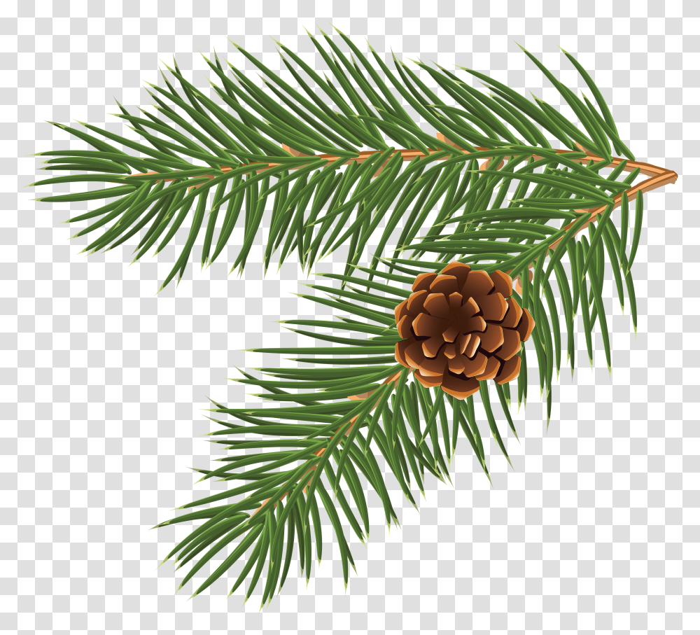 Christmas Vector Free, Tree, Plant, Conifer, Fir Transparent Png